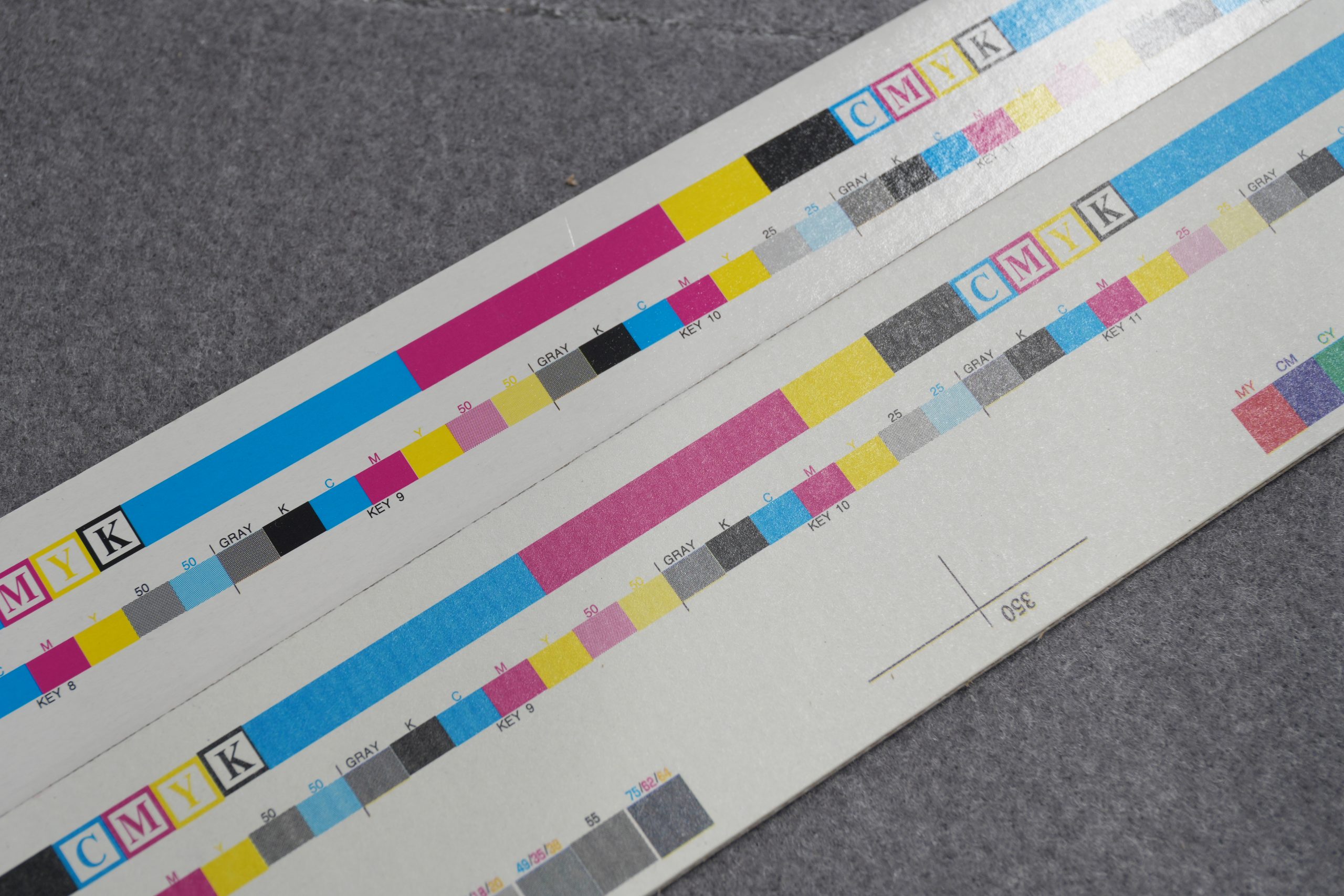 G段カラーバー コート白と白C5の違い